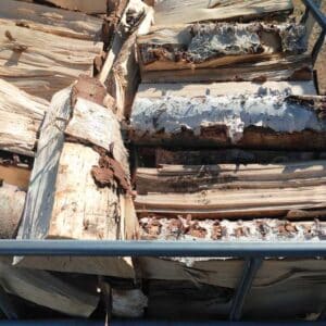 Birch Firewood