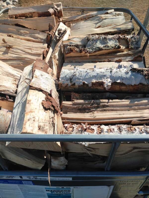 Birch Firewood - Small Tote